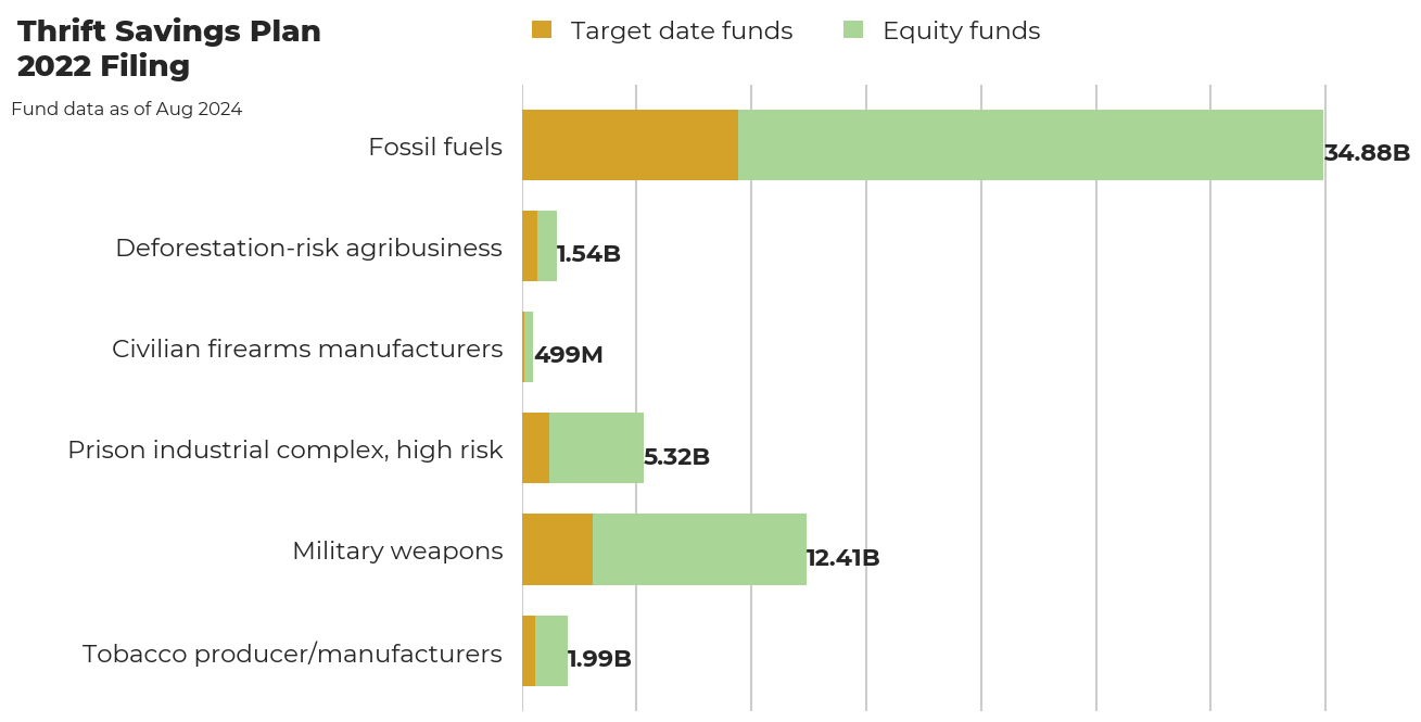 Thrift Savings Plan flagged investments